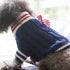 Formal Christmas  Acrylic Fibres  High Collar Sweater  Two-legged Dog & Cat Clothes